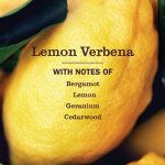 Lemon Verbena Multi-Surface Everyday Cleaner Concentrate Refill – 2 Pack - Image 3