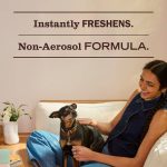 Daisy Room Freshener - Image 5