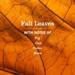 Fall Leaves Liquid Hand Soap - Image 4