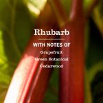 Rhubarb Liquid Hand Soap - Image 4