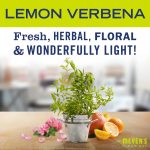 Lemon Verbena Hand Lotion - Image 3