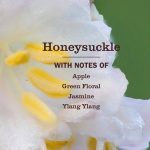 Honeysuckle Dryer Sheets - Image 3
