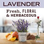 Lavender Laundry Scent Booster - Image 3