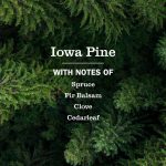 Iowa Pine Multi-Surface Everyday Cleaner - Image 4
