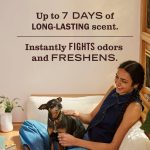Rain Water Fabric Freshener - Image 4