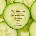 Cucumber Liquid Hand Soap - Image 4