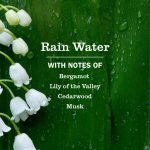 Rain Water Hand Lotion - Image 4
