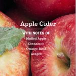 Apple Cider Liquid Hand Soap - Image 4