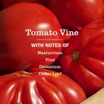 Tomato Vine Dish Soap 3-count Bundle - Image 4
