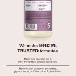 Elderberry Multi-Surface Everyday Cleaner - Image 6