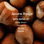 Acorn Spice Dish Soap - Image 4