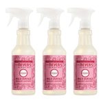 Peppermint Multi-Surface Everyday Cleaner 3-count Bundle