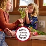 Dandelion Plug In Scented Oil Refill, 2-Pack - Image 9