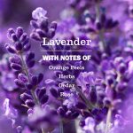 Lavender Probiotic Drain Maintenance - Image 3